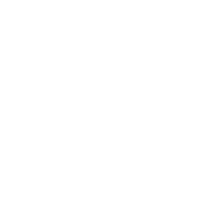 Aurovelo Logo